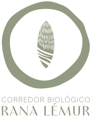 CBRL Restauración